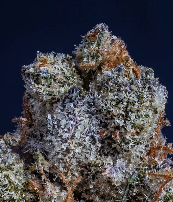 Buy Wholesale CBD Flower To Ease Your Chronic Pain