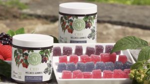 Vegan CBD gummies